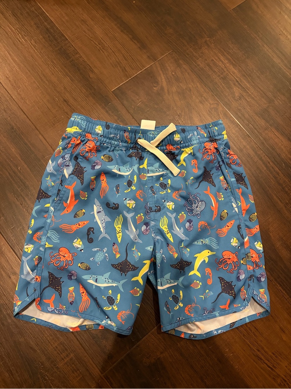 Fair Harbor Reef Friends Swim Trunks Boys Small